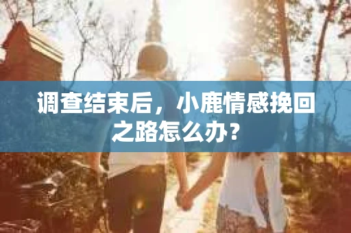 调查结束后，小鹿情感挽回之路怎么办？