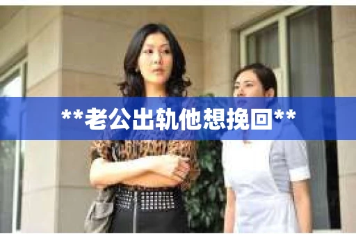 **老公出轨他想挽回**