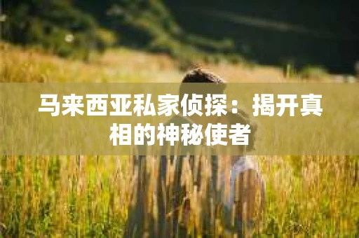 马来西亚私家侦探：揭开真相的神秘使者