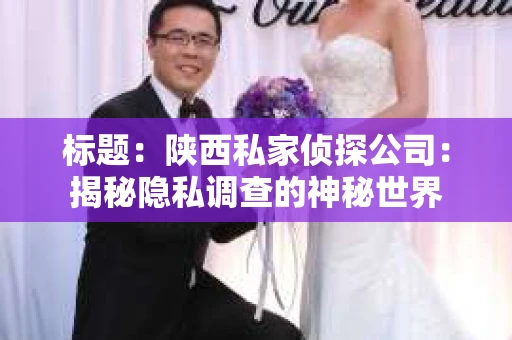 标题：陕西私家侦探公司：揭秘隐私调查的神秘世界