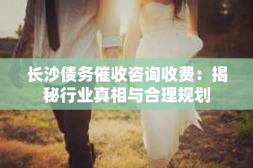 长沙债务催收咨询收费：揭秘行业真相与合理规划