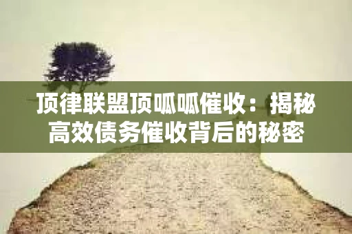顶律联盟顶呱呱催收：揭秘高效债务催收背后的秘密