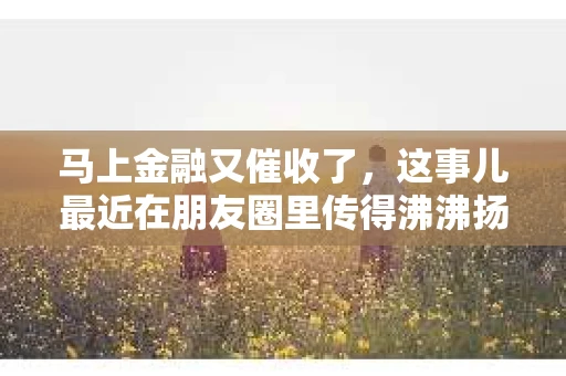马上金融又催收了，这事儿最近在朋友圈里传得沸沸扬扬。说实话，我也有点好奇，这马上金融到底是怎么回事？催收又是怎么一回事？今天，我就来跟大家聊聊这个话题。