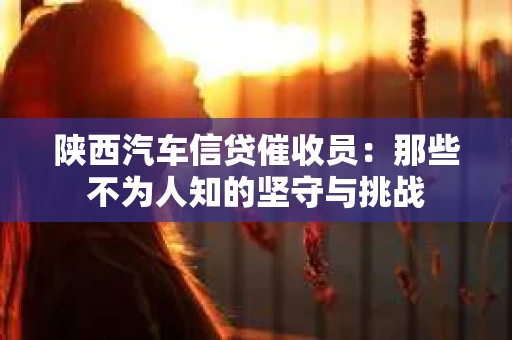 陕西汽车信贷催收员：那些不为人知的坚守与挑战