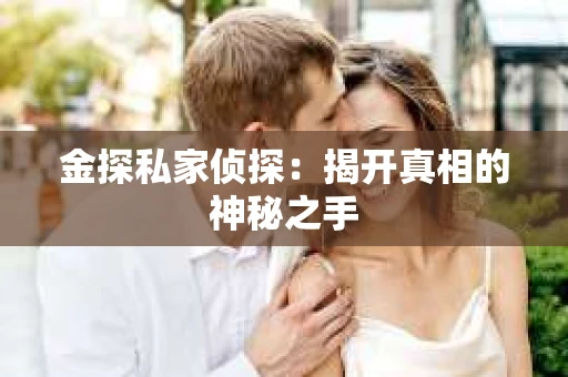 金探私家侦探：揭开真相的神秘之手