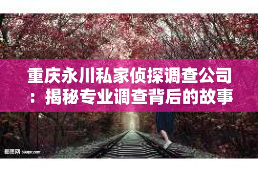 重庆永川私家侦探调查公司：揭秘专业调查背后的故事
