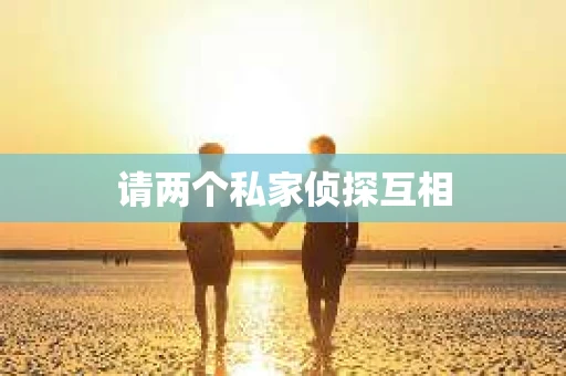请两个私家侦探互相
