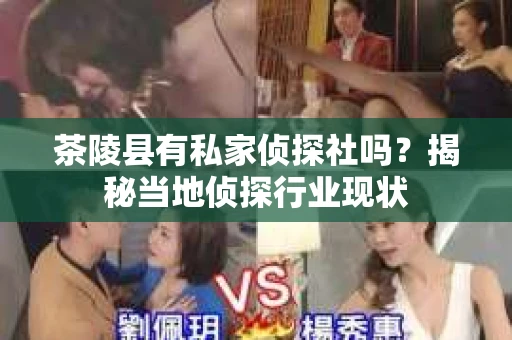 茶陵县有私家侦探社吗？揭秘当地侦探行业现状