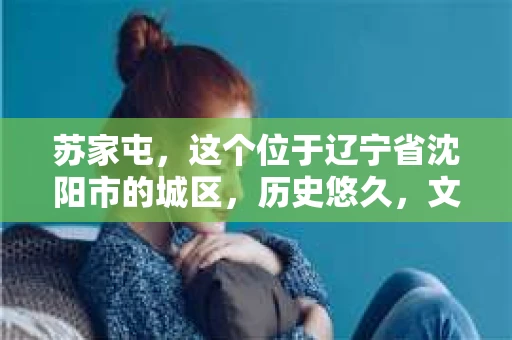 苏家屯，这个位于辽宁省沈阳市的城区，历史悠久，文化底蕴深厚。近年来，随着社会的发展，人们对于私家侦探的需求也逐渐增加。那么，苏家屯有私家侦探吗？今天，我们就来聊聊这个话题。
