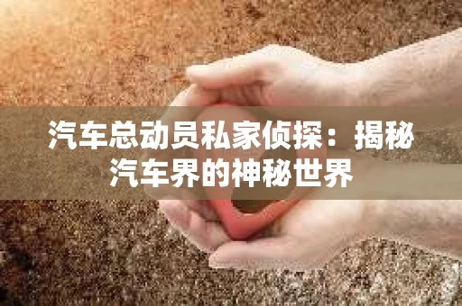 汽车总动员私家侦探：揭秘汽车界的神秘世界
