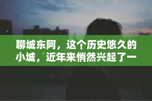 聊城东阿，这个历史悠久的小城，近年来悄然兴起了一股新的服务潮流——私家侦探。今天，我们就来聊聊这个话题，看看在聊城东阿，私家侦探是如何成为人们生活中的一部分的。