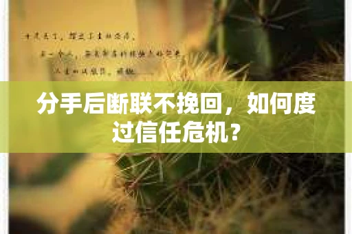 分手后断联不挽回，如何度过信任危机？