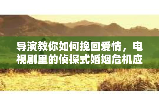 导演教你如何挽回爱情,电视剧里的侦探式婚姻危机应对法 导演教你如何挽回爱情,电视剧里的侦探式婚姻危机应对法