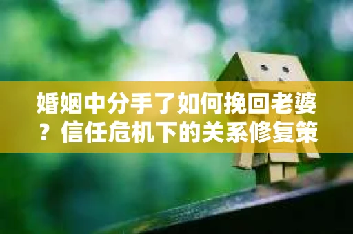 婚姻中分手了如何挽回老婆？信任危机下的关系修复策略
